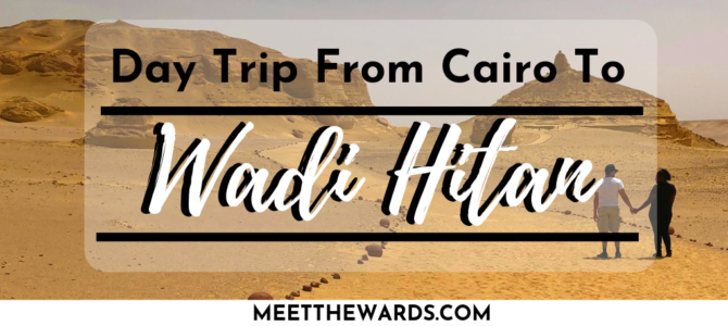Quick Day Trips From Cairo: Wadi Al Hitan National Park