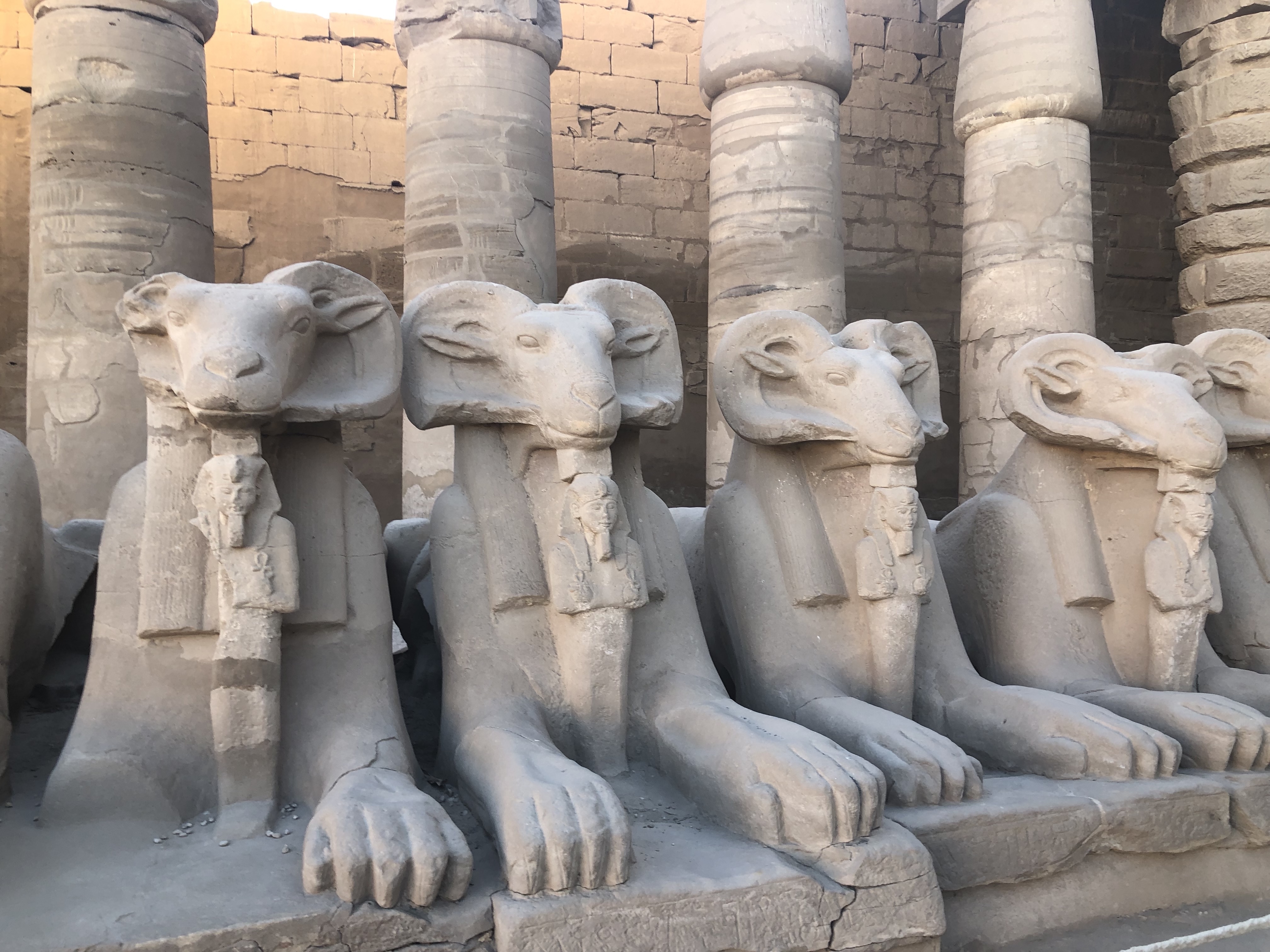 Karnak Temple | Ram Headed Sphinxes | Cruise | Aswan to Luxor | MeetTheWards.com